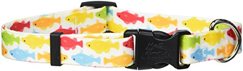 Image of Yellow Dog Design Rainbow Fish White Dog Collar, Medium-3 /4 Wide fits Neck Sizes 14 to 20 inch /4 inch Wide