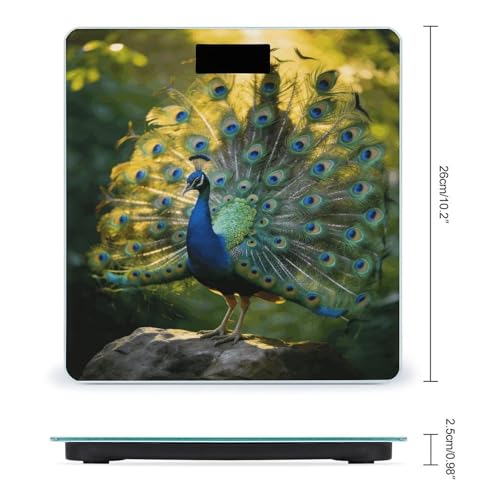 Báscula digital de baño con pantalla LED clara, vidrio templado miniatura 2