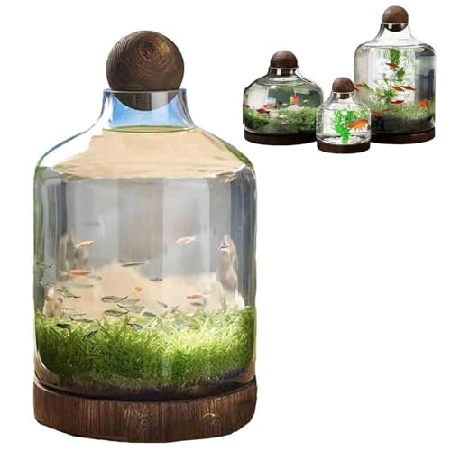 FkYstrix Fish Tank Vase Aquarium with Wooden Base Micro Ecosphere Transparent Clear Fish Bowl Hydroponic Plant Art Decor for Desktop Home(L, B) FkYstrix Fish Tank Vase Aquarium with Wooden Base Micro Ecosphere Transparent Clear Fish Bowl Hydroponic Plant Art Decor for Desktop Home(L, B)