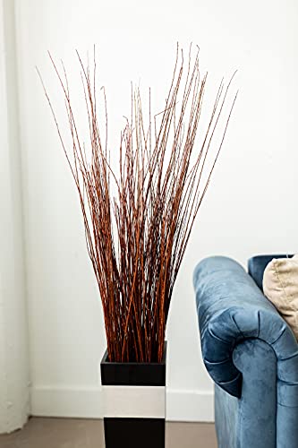 Green Floral Craft | 60-70 Stem Dried Asian Willow Decorative Branches 3-4 Feet Tall - Perfect Home Decoration And Floor Vase Filler (Light Mahogany) #TOP3