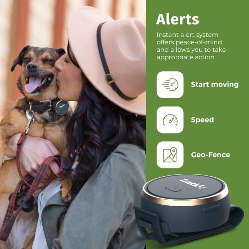 Trackipet Gps Dog Tracker - Subscription Needed - Mini Size Locator With 3 Adapters Clip Fits Pet Collar 4G Sim Included Live Location With Unlimited Range– 5 Years Tracking History App Web #TOP5