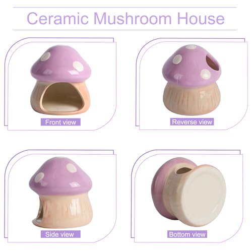 Image of Ceramics Mushroom House Aquarium Decor - Axolotl & Betta Hiding Cave with Breeding Spot for Betta Fish, Shrimp, Small Fish & Goldfish Tank Ornament - Purple