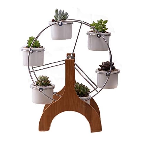 Youfui Ferris Wheel Plant Stand with 6 Pots Succulent Planter Set Cover