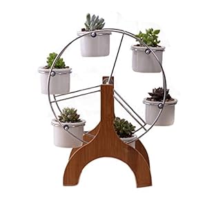 Succulent Planter Set Indoor Plant Pot Ferris Wheel Plant Stand with 6 Pots Succulent Planter Set Indoor Plant Pot Ferris Wheel Plant Stand with 6 Pots