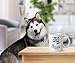 DogsMakeMeHappy Husky Coffee Mug, I'm a Husky Mom, This is How I Roll, 11oz Coffee Mug, Husky Mom Gifts, Husky Mom Mug, Husky Lover Gift for Women, Gift for Husky Mom, Husky Cup, Husky Lover Gift