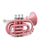 Sky Band Approved Brass Bb Pocket Trumpet with Case, Cloth, Gloves and Valve Oil, Guarantee Top Quality Sound(Pink)