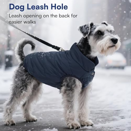 ASENKU Hundemantel Winter, Hundemantel wasserdichte für Kleine Hunde Warme Fleece Hundejacke mit Geschirr Winddichte Wintermantel Hund Kleidung für Malteser Dackel Französische Bulldogge M