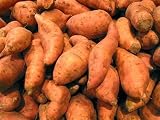 when is the best time to plant potatoes in florida 5 41XVGoaiTSL. SL160