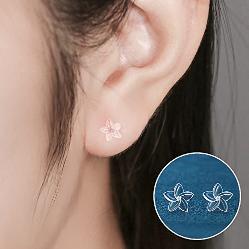 6 Pairs Invisible Plastic Post Earrings For Sensitive Ears - Clear, Sports & Work2