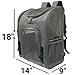 Mr. Peanut's Aspen Series Airline Approved Backpack Pet Carrier (Platinum Gray)