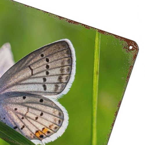 Plaque rétro papillon blanc, l'esprit vintage pour un intérieur cosy - 4