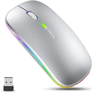 Wireless Slim Mouse, 2.4G Rechargeable, Silent Click, RGB, 1600 DPI, 500mAh Battery, Windows/Mac Compatible (Silver)