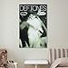 VQFYNOBCI Deftones Poster Vintega MusicCanvas Art for Room Aesthetic And Wall Art Picture Living Room Decor Poster12x18inch(30x45cm)
