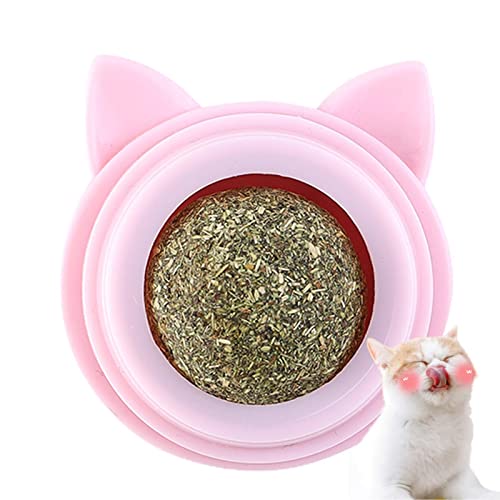 Bolas de Catnip Silver Vine,Dentes de moagem seguros e confiáveis ​​Limpo Catnip Toy - Brinquedos pr