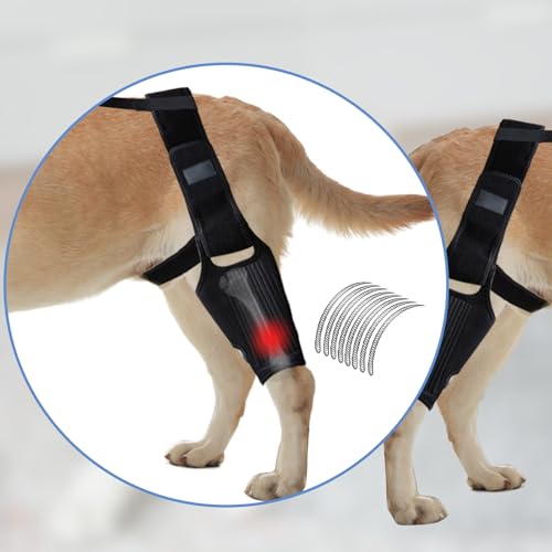 La Mejor Selección de Rodilleras seguridad con velcro favoritos de las personas. 25 Imagen adicional