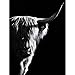 Produktbild Unbekannt Black and White Highland Cow Cattle Wall Canvas Art Nordic Painting Poster and Print Scandinavian Wall Picture for Living Room 40cm x60cm No Frame