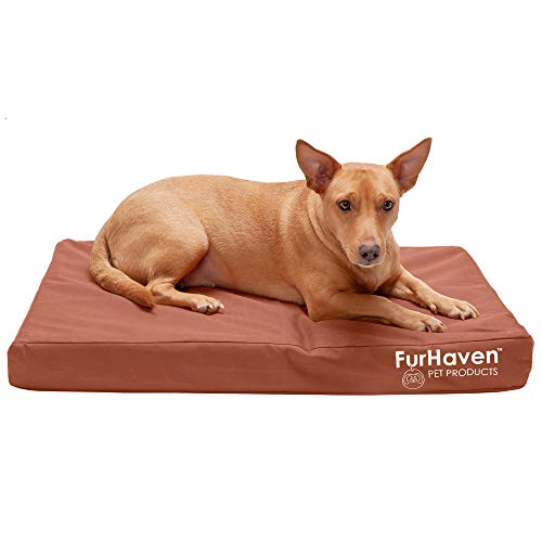 Image of Furhaven Water-Resistant Orthopedic Dog Bed for Medium /Small Dogs w / Removable Washable Cover, For Dogs Up to 35 lbs - Indoor /Outdoor Logo Print Oxford Polycanvas Mattress - Chestnut, Medium