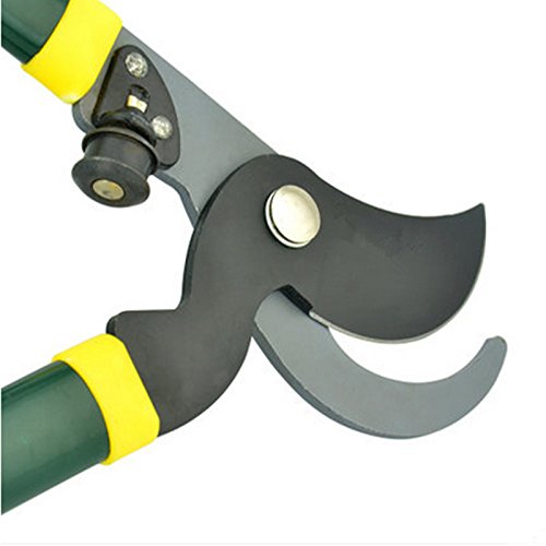 Forbici per potatura giardinaggio cesoie da giardino albero ramo taglierino Tesouras Sikatory Garden Tool spedizione gratuita