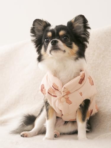 Amazon.co.jp: gelato pique ジェラートピケ: WEAR