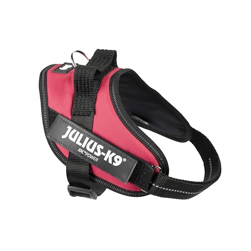 IDC Powergeschirr, S, Viva Magenta - Reflektierendes Hundegeschirr mit Logo-Feld, verstellbar, atmungsaktiv, Bewegungsfreiheit, Oeko-TEX Zertifiziert, für kleine, mittlere & große Hunde