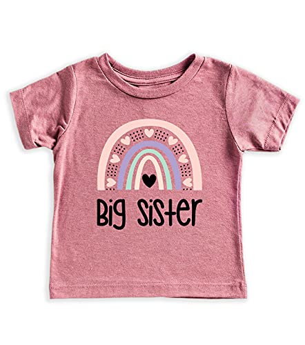 Teeny Fox Rainbow Big Little Sis Shirts Sister Set Gift For Sibling Matching Outfits