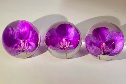 Image of 2.6 inch Real Purple Orchid in Crystal Clear Lucite Resin Ball October Birth Month Flower Anniversary Wedding Engagement Valentine Gift Botanist Herb Herbarium Paperweight Display Decor Collection