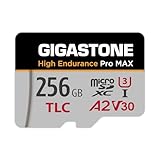 Gigastone