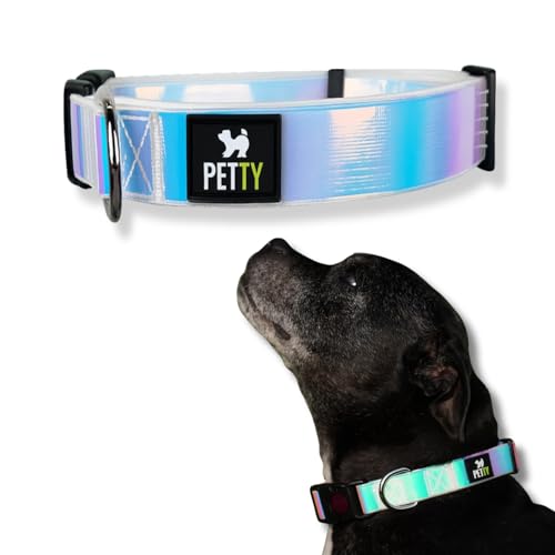 PettyItalia, Collare Cane Rainbow in Biothane Riflettente, Regolabile e Impermeabile, con Anello D-Ring e Chiusura di Sicurezza, per Cani di Taglia Piccola, Media e Grande, Taglia M