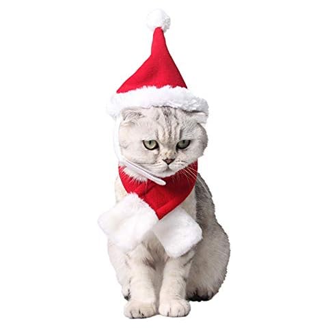 PEDOMUS Disfraz de Gato de Navidad Cover