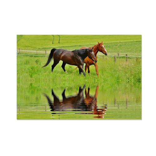 Toile animaux sauvages FLUCK grand format sans cadre tableau nature 70x105 cm