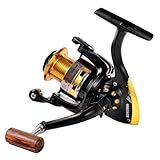 Diwa Spinning Fishing Reels for Saltwater Freshwater 1000 2000 3000 4000 5000 6000 Series Left/Right Interchangeable Trout Spinning Reel Carp Fishing Spool 10 Ball Bearings Light and Smooth - Image 2