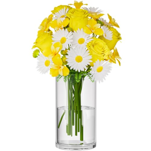 HYCKee 30 cm Glasvase, Moderne zylindrische Vase, Vase aus klarem...