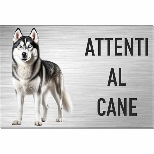 INDIGOS UG - Targa personalizzata Attenti al Cane con immagine Husky Siberiano - 30x20 cm - aspetto acciaio inossidabile 3 mm - cartello cane da esterno resistente per cancello porta casa giardino