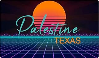 Palestine Texas 2 X 1.25-Inch Vinyl Decal Stiker Retro Neon Design