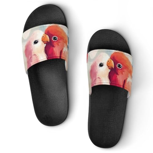 Valentines Day Lovebird Parrots House Slippers for Women Men Personalized Shower Shoes Sandals Slides