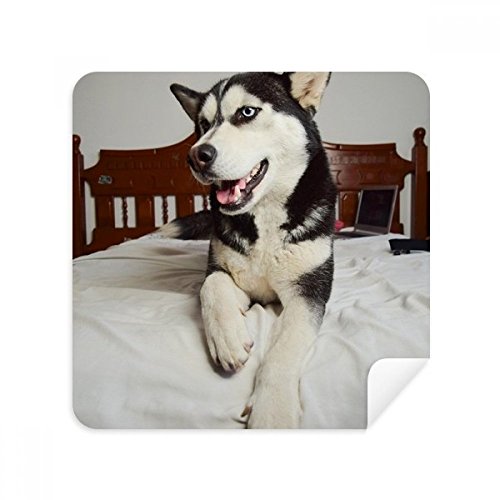 Chiffon de nettoyage Husky écran téléphone et suède tissu lunettes 2Pcs