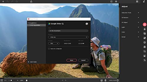 Movavi Software Inc Movavi Picverse Photo Editor 1-Year License For Mac thumb #1