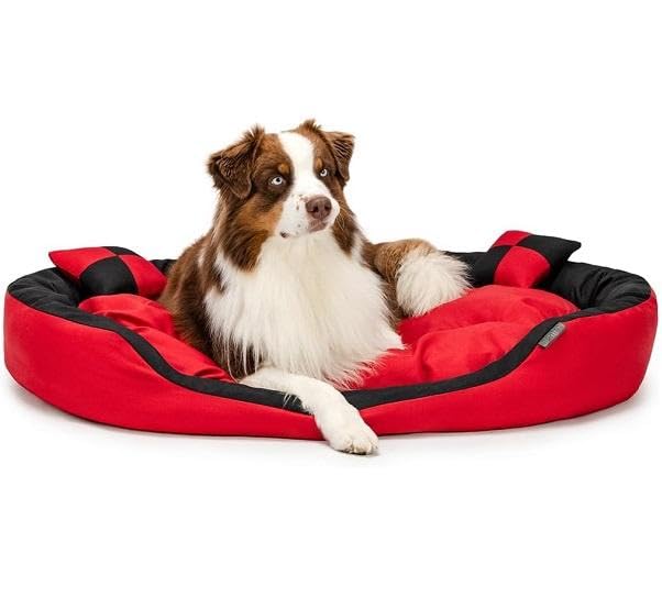 See full amazon price history chart for Gorgeous Dog Bed Soft Washable Reversible Dog Bed Red-Black for Small | Medium | Large | Extra Large | XL | L | XXL | XXXL | Cats | Puppy | Pet | Dogs Bed | (S) Gorgeous Dog Bed Soft Washable Reversible Dog Bed Red-Black for Small | Medium | Large | Extra Large | XL | L | XXL | XXXL | Cats | Puppy | Pet | Dogs Bed | (S) (B0CXDMNX5N) Amazon Price History, Amazon Price Tracker