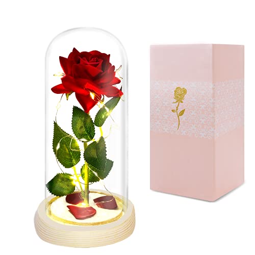 Gifts for Her, Anniversary Rose Gift for Her, Birthday Gifts for Her, Eternal Glass Rose Flower with Led Lights, Unique Gifts for Women, Wedding, Anniversary Romantic Gift for Her Wife Girlfriend