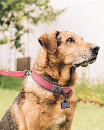 Image of Joytale Dog Collar for Extra Large Dogs, Neoprene Padded and Adjustable, Reflective Wide Heavy Duty Pet Collars with Durable Metal Belt Buckle for Walking, Pink, XL