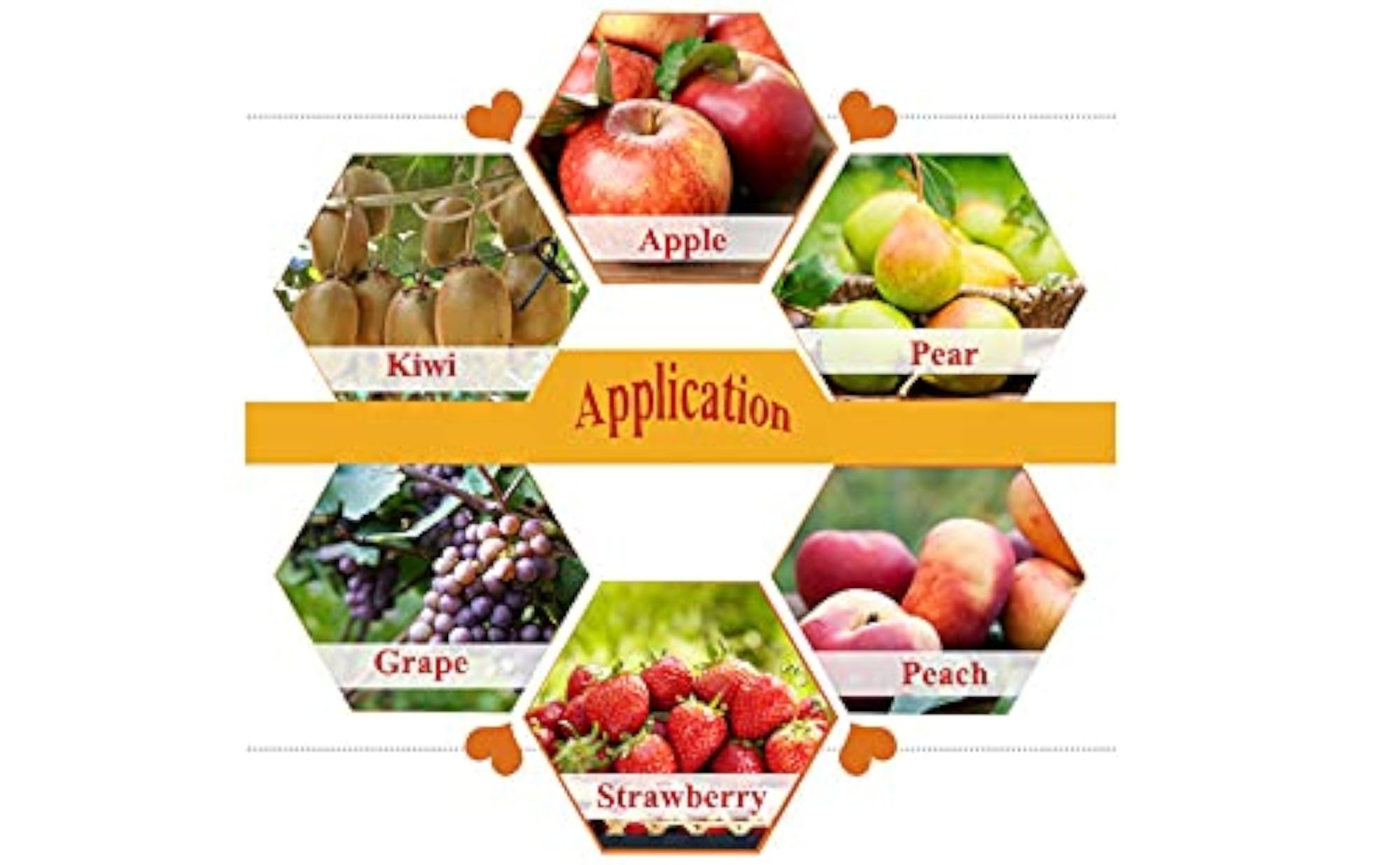 Fruit Pressure Tester Penetrometer 1-24 kg/cm² for Accurate Measurement