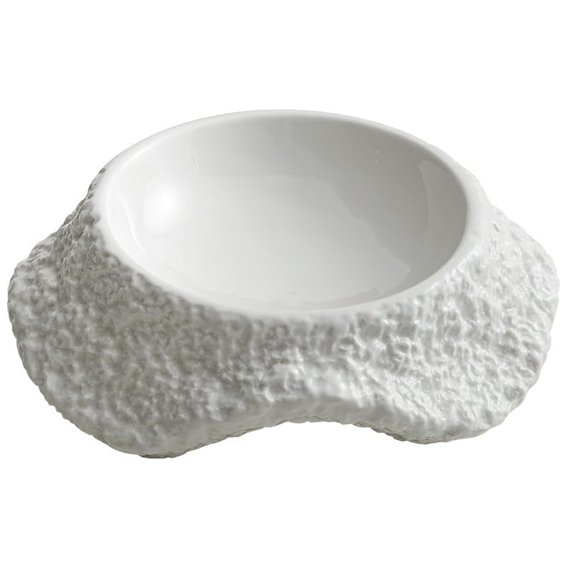 Assiettes à salade céramique grand bol soupe vaisselle table cuisine restaurant L