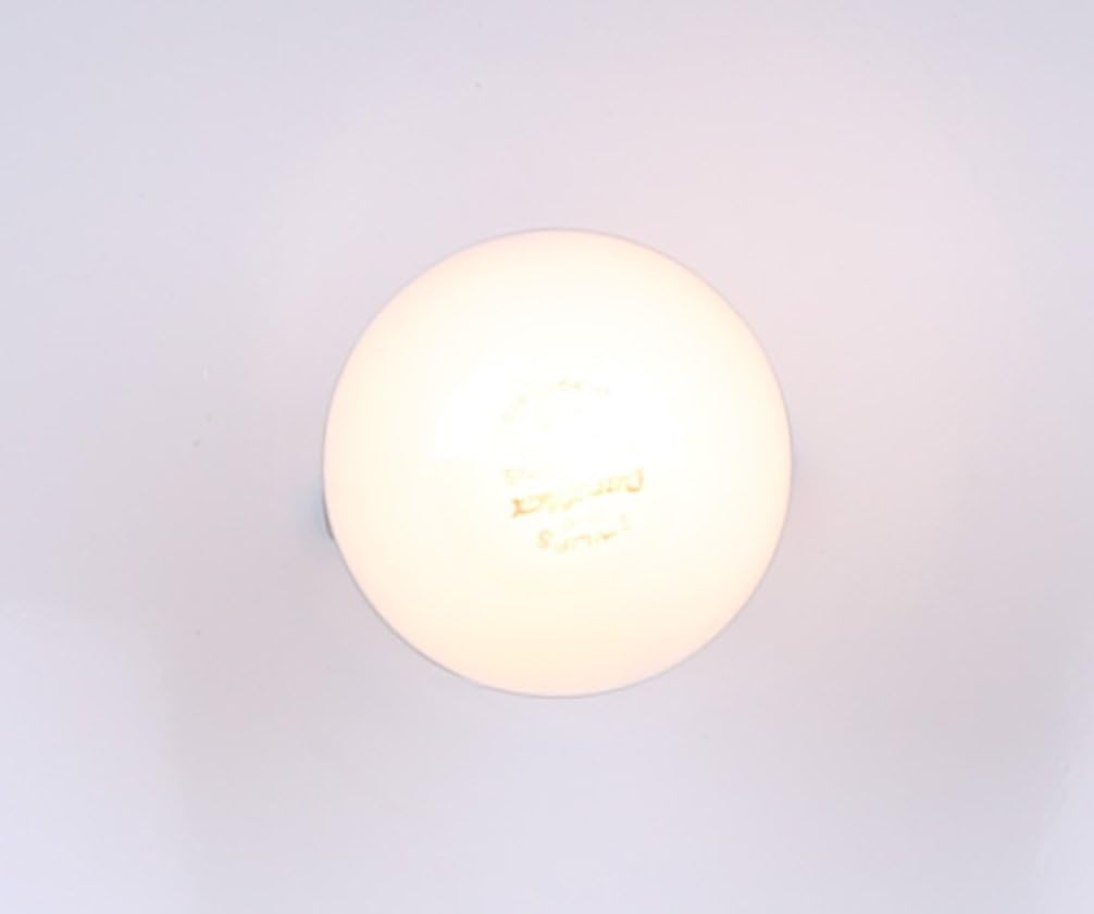 Super Big Clearance! CANARM IPL222B01ORB16 LTD Polo 1 Light Rod Pendant, Oil Rubbed Bronze with Painted White Interior