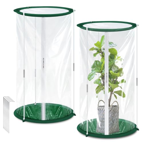Mini Serres 50x30 cm, Lot de 2 Tente d’Hivernage pour Plantes, Petite Serre pour Légumes, Fleurs et Champignons,Serre Transparente en Film Plastique, Pop-Up