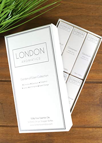 Garden of Eden Verzameling van etherische oliën Zes 10 ml glazen pipetdruppelflesjes 100% kaneel, geranium, grapefruit… - Image 7