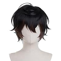 Amazon.co.jp: コスプレウィッグ 耐熱 かつら アニメ コスチューム小物