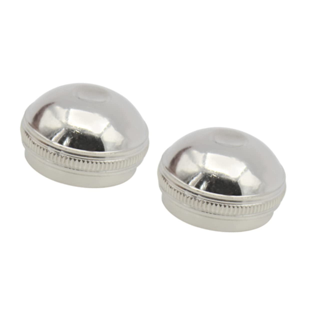 ERINGOGO 2Pcs Flute Head Screws Durable Flute Accessories High Hardness Repairing Supplies for Musicians Replacement Fine Workmanship Smooth Surface