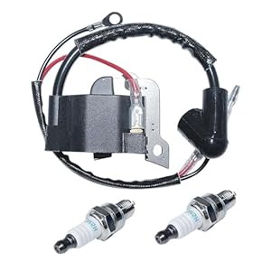 RVIFY Zündspule Zündkerze Kit für GX35