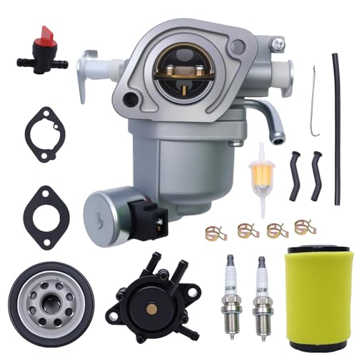 960430214-00 Carburetor with Air Fuel Oil Filter Fuel Pump - Fit for Husqvarna YTA22V46 YTA24V48 48 Riding Lawn Tractor - Replace 596163 Vacuum Hose Kit