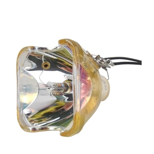 Ampoule nue POA-LMP107 pour projecteur PLC-XE32 XW50 XW55 XW56